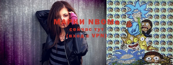 прущий лед Алзамай