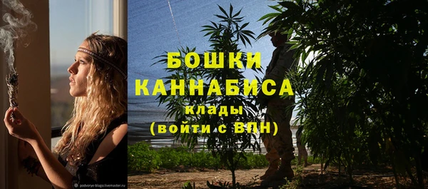 молекула духа Аркадак