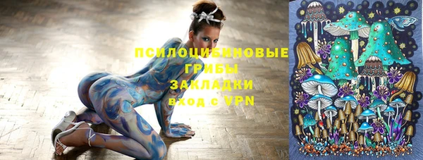 а пвп мука Армянск
