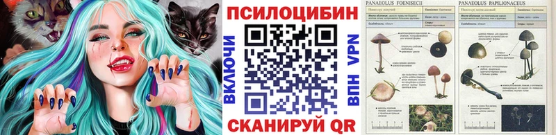 Галлюциногенные грибы Magic Shrooms  OMG ТОР  Королёв 
